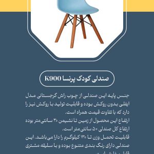 صندلی کودک پرنسا K900