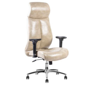 صندلی مدیریتی طبی تیکاند a-340