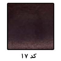 مسکو ایاز کد 17