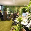 easycredit green office 2