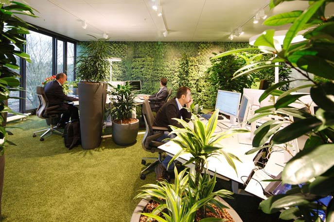 easycredit green office 2