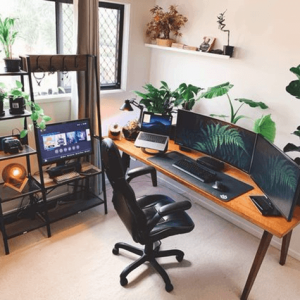 گیاهان مناسب برای دفتر کار
