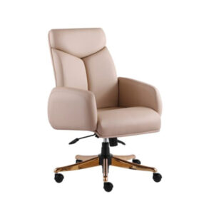 صندلی کارشناسی K910-P