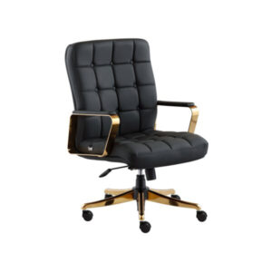صندلی کارشناسی K950-P