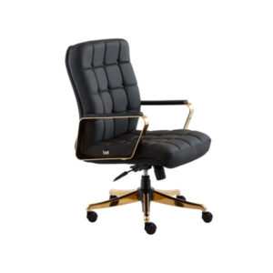 صندلی کارشناسی K950-P